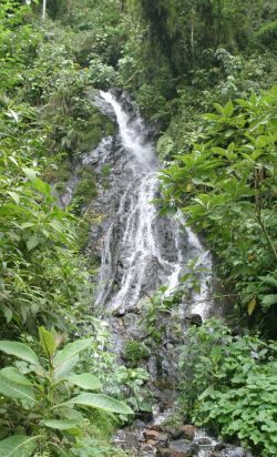 Manu waterfall